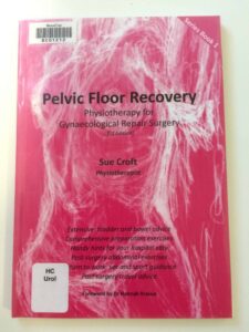Cover image of the book Pelvic floor recovery