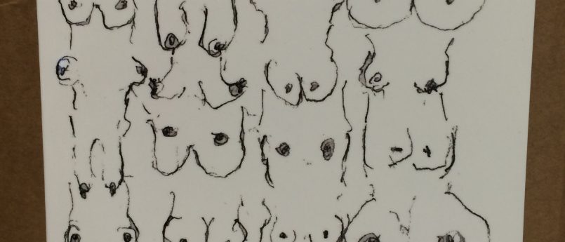 Cover image of the book 'One breast, two breast' by Susie Kliman
