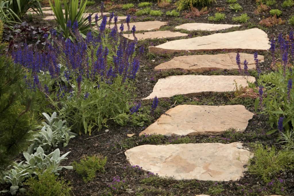 A garden path edged with flowers.