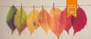 Text:"WEBINAR". Autumn leaves hanging off twine, arranged from green, through yellow to red. Photo by Chris Lawton.