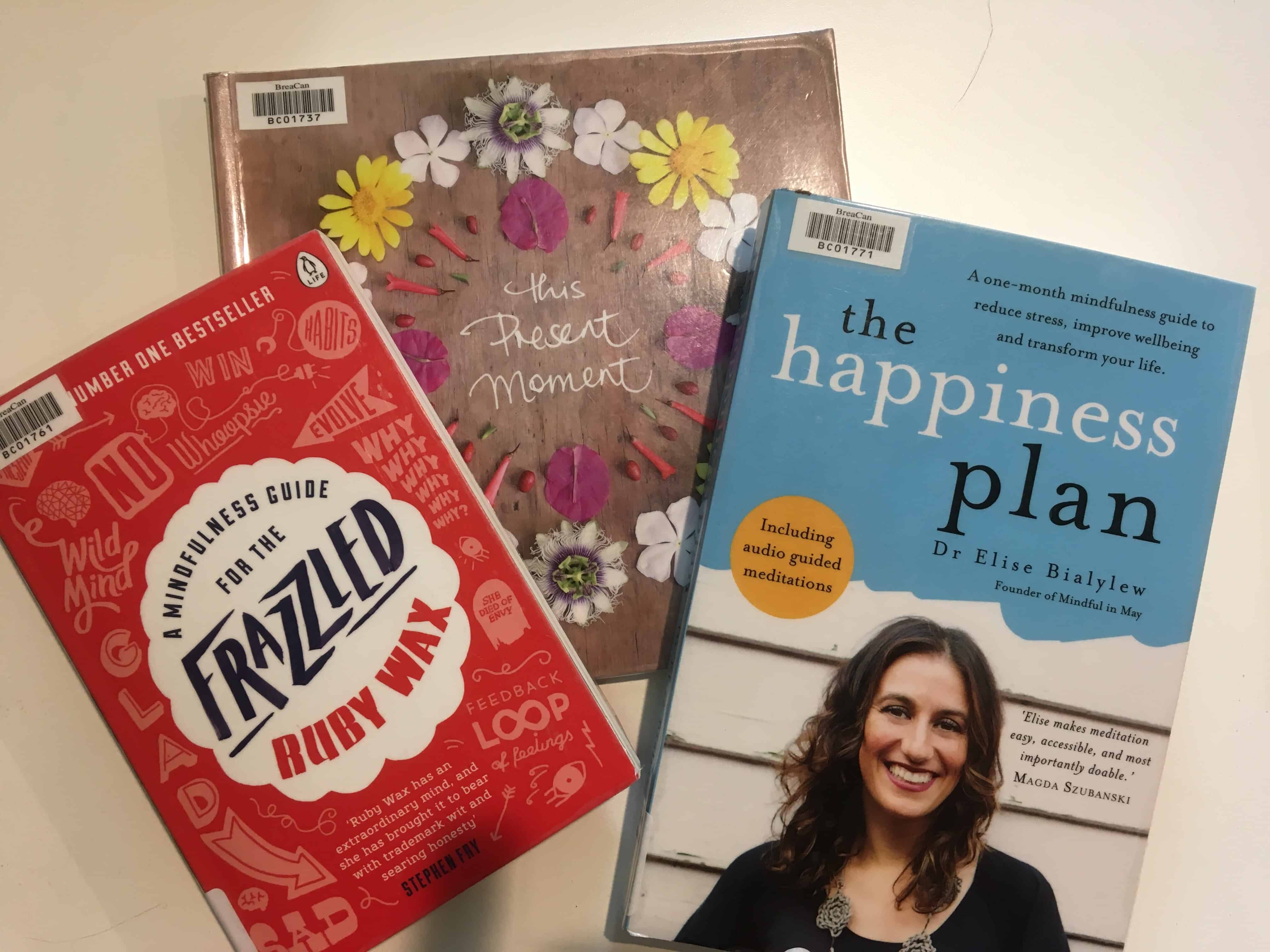 Cover images of 3 books: The Happiness Plan, Frazzled, and This Present Moment