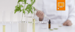 laboratory with test tubes and medicinal cannabis