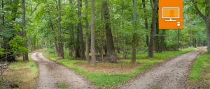 split path in forest