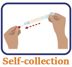 Self collection. Simple illustration of a self collection kit.